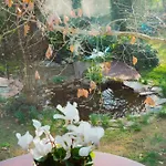 Erasmia's House - A Haven For Ultimate Relaxation *