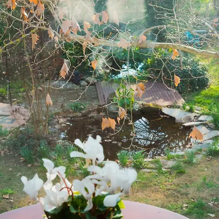 Erasmia's House - A Haven For Ultimate Relaxation *