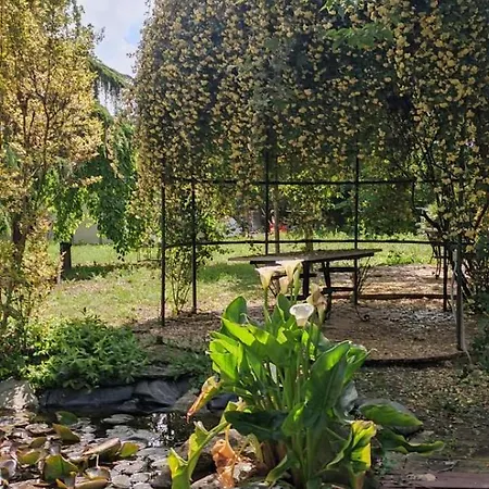 Erasmia's House - A Haven For Ultimate Relaxation بيت للعطل Nikaia